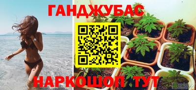 хмурый Дубна