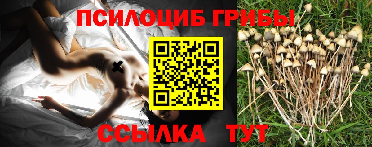 Псилоцибиновые грибы Psilocybine cubensis  Вход с VPN  магазин    Орёл 