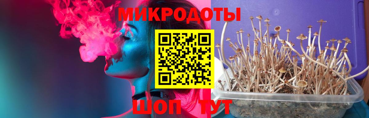 Псилоцибиновые грибы Psilocybine cubensis Орёл